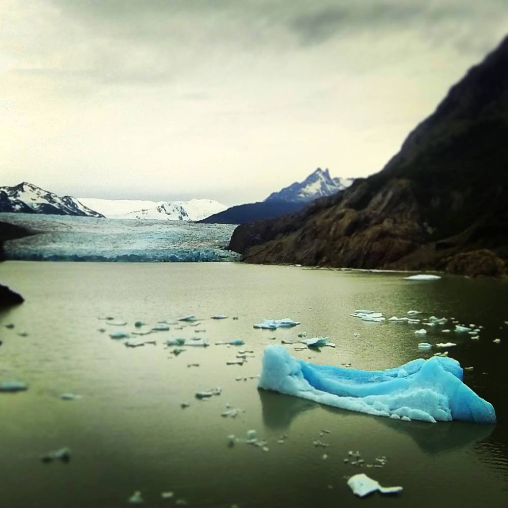 10911295_1039815239367105_7385783980865449230_o