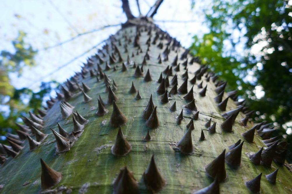 16196259_373778996320590_1019826538_o